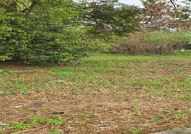 Land for sale at 810 W 14th Street, LAKELAND, FL 33805 | MLS# R4910882
