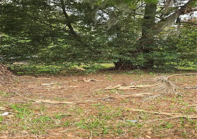 Photo 2 of Land for sale at 810 W 14th Street, Lakeland, FL 33805 | MLS# R4910882 | Listing updated on 2026-03-16