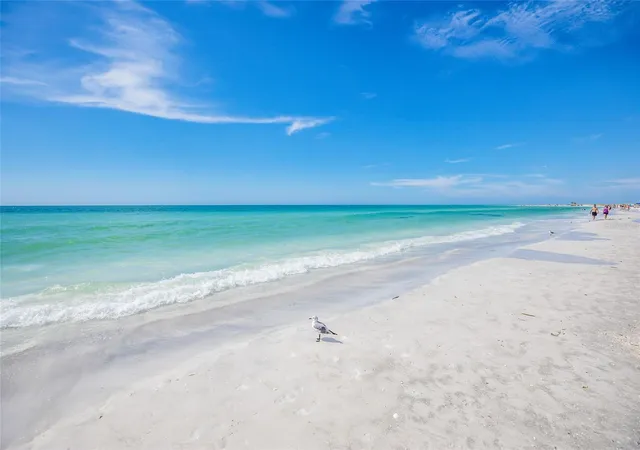 58th image of 103 Fillmore Dr, Sarasota, FL 34236 | MLS# A4686381