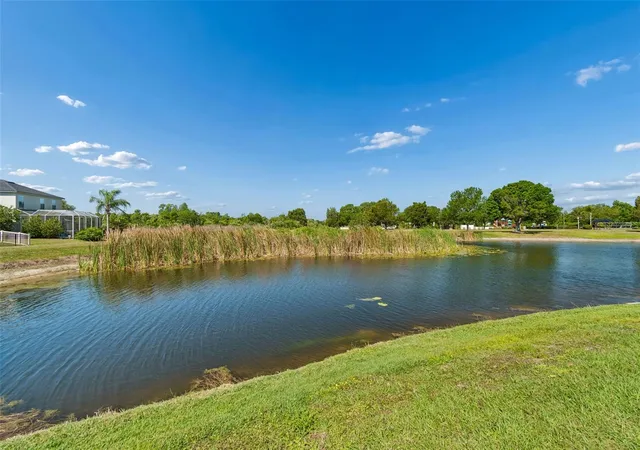 Homes for sale in Land O Lakes, FL | 9515 Simeon Dr, Land O Lakes, FL 34638 | MLS# TB8487207