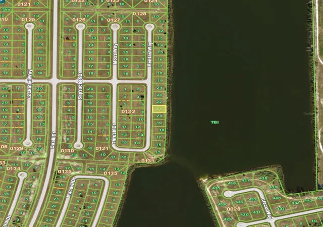Photo 3 of Land for sale at 41 Thrush Dr, Placida, FL 33946 | MLS# D6146629 | Listing updated on 2026-09-08