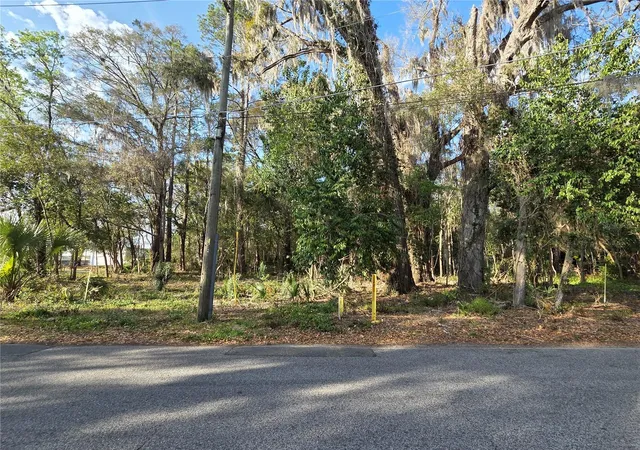 Land for sale at (parcel NE 2) 214 13th Ave, Gainesville, FL 32601 | MLS# GC538538