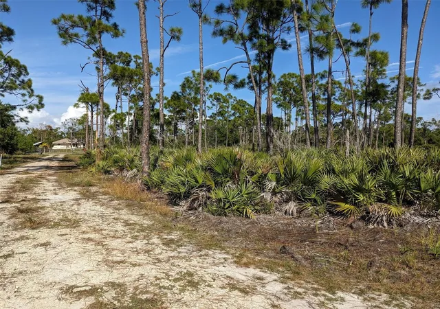 Photo 4 of Land for sale at 4159 Sunshine Blvd, Saint James City, FL 33956 | MLS# C7523454 | Listing updated on 2026-10-07