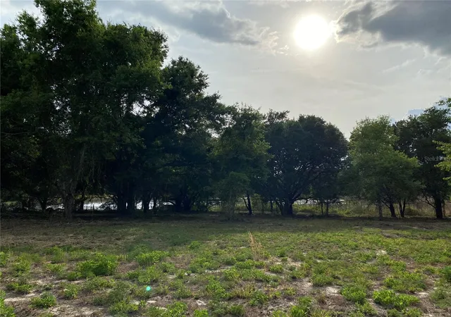 2nd image of South O 'brien Rd, Groveland, FL 34736 | MLS# O6391229