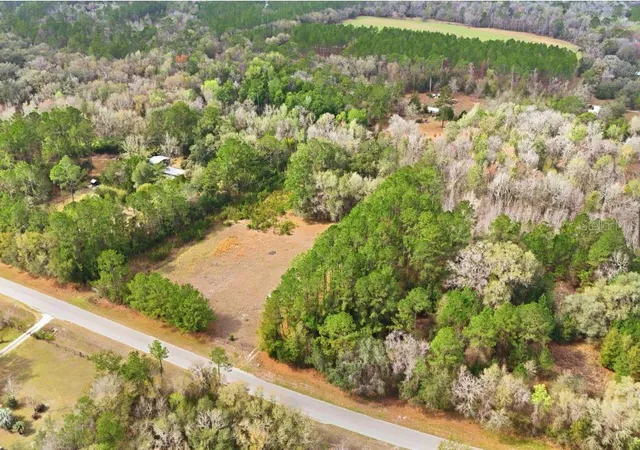 3rd image of 17828 Ne 21St St, Gainesville, FL 32609 | MLS# TB8487344
