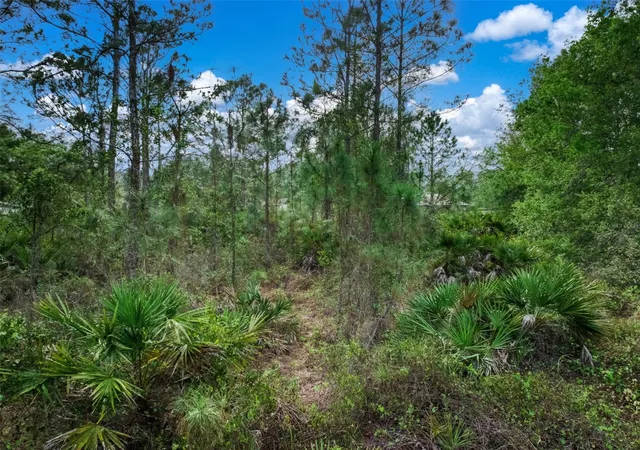 17th image of 4814 Lakewood Rd, Sebring, FL 33875 | MLS# O6391305