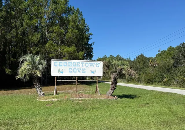 Photo 2 of Land for sale at 433 Gardenia Ave, Georgetown, FL 32139 | MLS# S5145964 | Listing updated on 2026-10-16