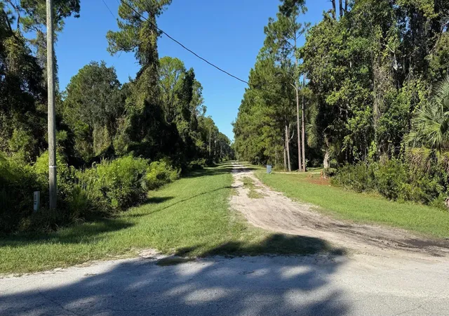 Photo 3 of Land for sale at 433 Gardenia Ave, Georgetown, FL 32139 | MLS# S5145964 | Listing updated on 2026-10-16