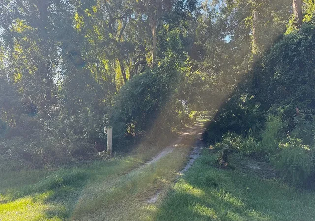 Photo 3 of Land for sale at 433 Gardenia Ave, Georgetown, FL 32139 | MLS# S5145964 | Listing updated on 2026-10-16