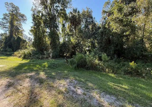 Photo 4 of Land for sale at 433 Gardenia Ave, Georgetown, FL 32139 | MLS# S5145964 | Listing updated on 2026-10-16
