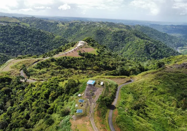 Homes for sale in Morovis, PR | Pr-155 Km 340 Barrio Perchas, Morovis, PR 00687 | MLS# PR9119962