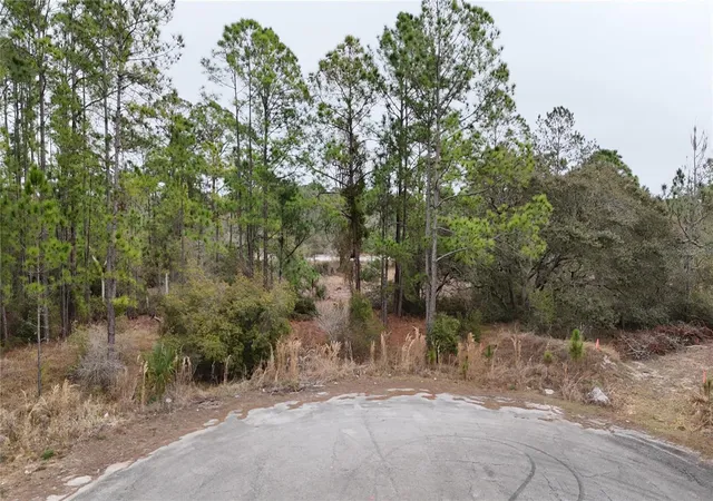 Homes for sale in Kissimmee, FL | 1255 Wahneta Dr, Kissimmee, FL 34759 | MLS# O6391382