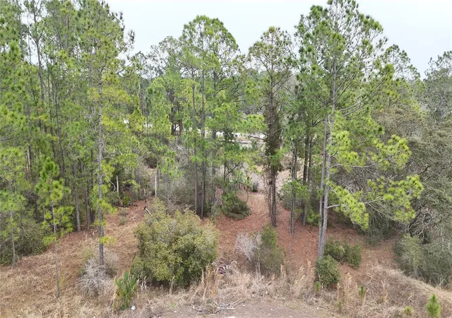 Homes for sale in Kissimmee, FL | 1256 Wahneta Dr, Kissimmee, FL 34759 | MLS# O6391396