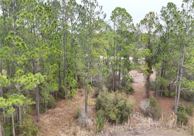 Homes for sale in Kissimmee, FL | 1256 Wahneta Dr, Kissimmee, FL 34759 | MLS# O6391396