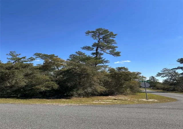 Photo 4 of Land for sale at 0 SW 36th Avenue Rd, Ocala, FL 34473 | MLS# OM720987 | Listing updated on 2026-10-09