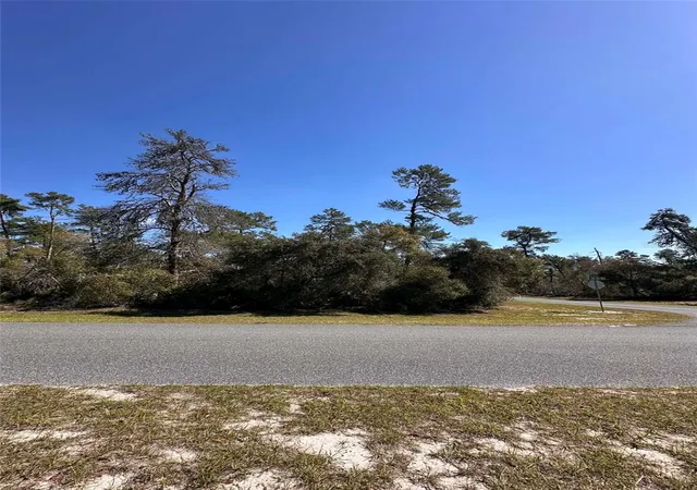 Photo 8 of Land for sale at 0 Sw 36th Avenue Rd, Ocala, FL 34473 | MLS# OM720987 | Listing updated on 2026-03-25