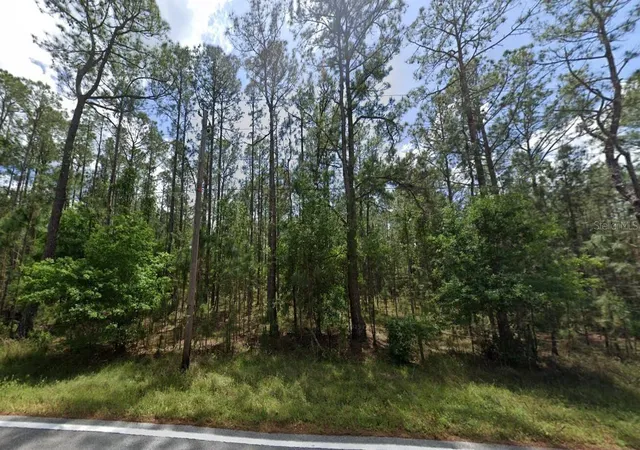 Photo 3 of Land for sale at Poyner Oaks Rd N, Polk City, FL 33868 | MLS# O6391490 | Listing updated on 2026-07-10