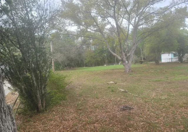 Photo 4 of Land for sale at 11641 Bruin Dr, New Port Richey, FL 34654 | MLS# TB8487799 | Listing updated on 2026-09-17