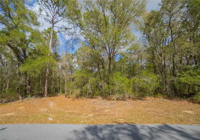 Photo 1 of Land for sale at 8743 N Sandree Dr, Citrus Springs, FL 34434 | MLS# W7883997 | Listing updated on 2026-10-05