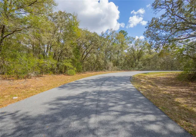 Photo 2 of Land for sale at 8743 N Sandree Dr, Citrus Springs, FL 34434 | MLS# W7883997 | Listing updated on 2026-10-05