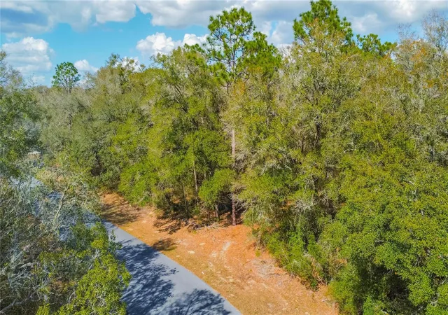 Photo 3 of Land for sale at 8743 N Sandree Dr, Citrus Springs, FL 34434 | MLS# W7883997 | Listing updated on 2026-10-05