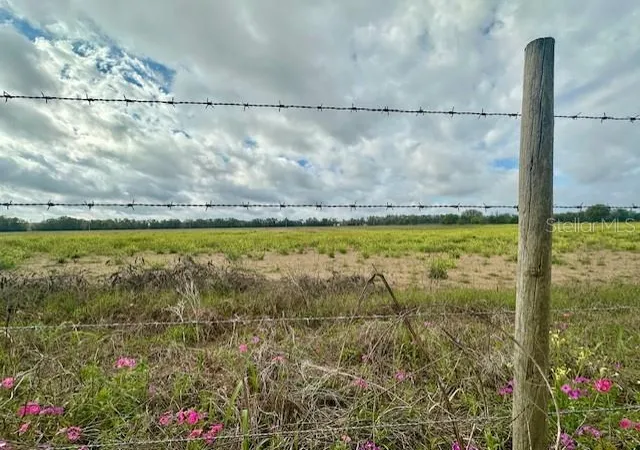 Photo 3 of Land for sale at SW 80th Street, Trenton, FL 32693 | MLS# GC538594 | Listing updated on 2026-09-05