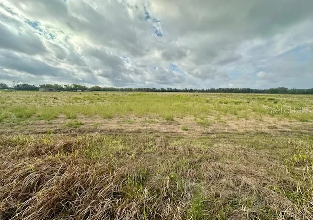 Photo 4 of Land for sale at SW 80th Street, Trenton, FL 32693 | MLS# GC538594 | Listing updated on 2026-09-05