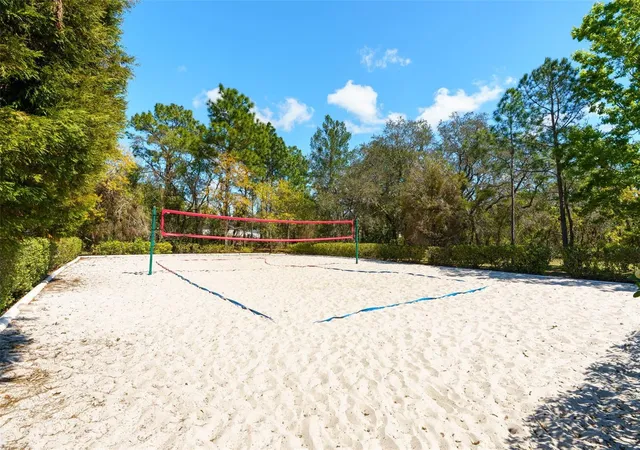 69th image of 13454 Golden Lime Ave, Spring Hill, FL 34609 | MLS# OM721075