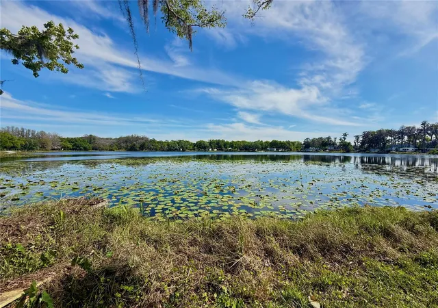 Homes for sale in Odessa, FL | 14618 Geneva Dr, Odessa, FL 33556 | MLS# TB8488007