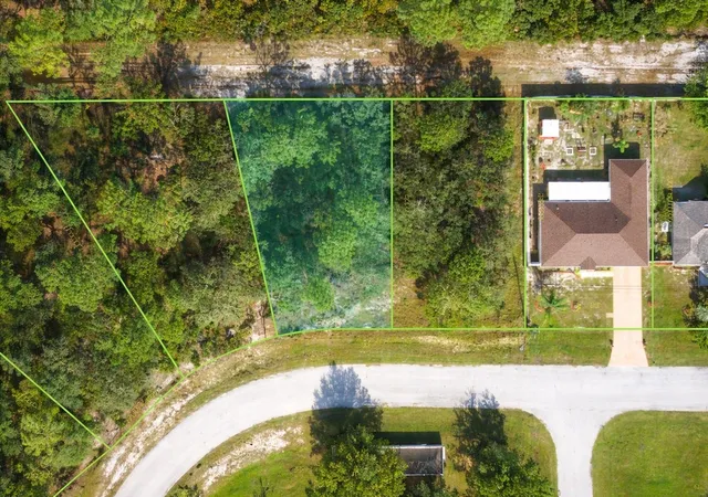 Homes for sale in Kissimmee, FL | 1226 Apopka Ln, Kissimmee, FL 34759 | MLS# O6391841
