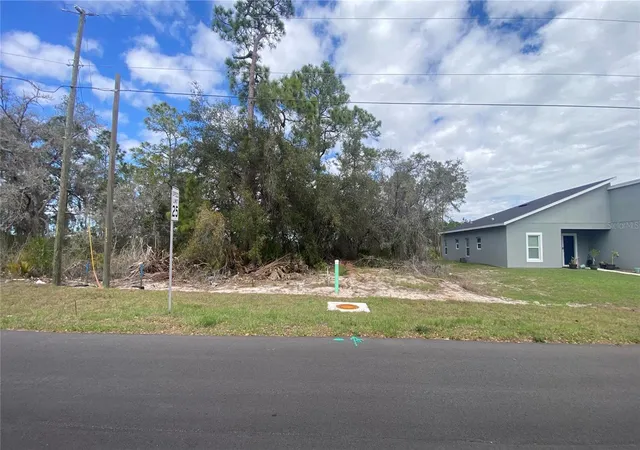 Homes for sale in Kissimmee, FL | 1226 Apopka Ln, Kissimmee, FL 34759 | MLS# O6391841