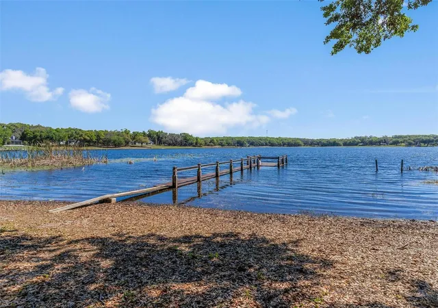 Homes for sale in Fruitland Park, FL | 926 Hawk Lndg, Fruitland Park, FL 34731 | MLS# G5109780