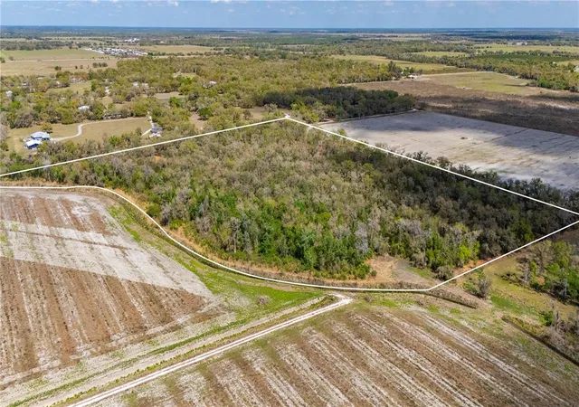 Land for sale at Southeast Hwy 31 #30, ARCADIA, FL 34266 | MLS# C7523625