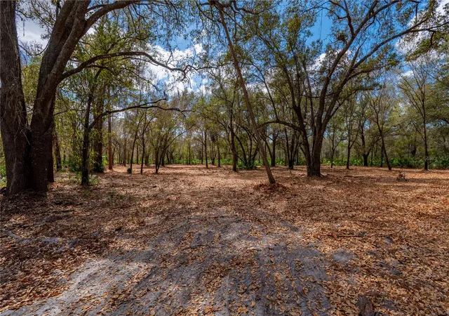 Photo 3 of Land for sale at Southeast Hwy 31 #30, Arcadia, FL 34266 | MLS# C7523625 | Listing updated on 2026-09-15