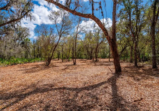10th image of Se Hwy 31 #30, Arcadia, FL 34266 | MLS# C7523625