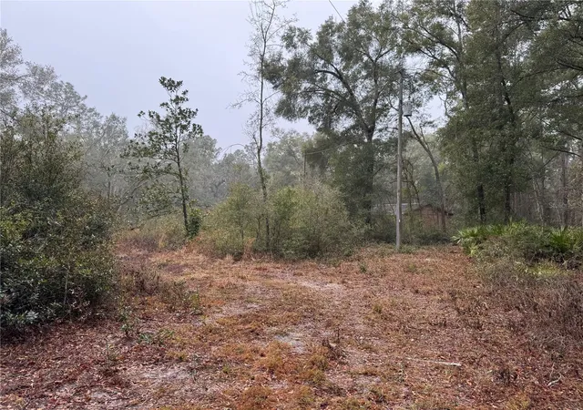 13th image of 2795 Se 21st Ave, Sumterville, FL 33585 | MLS# TB8488209