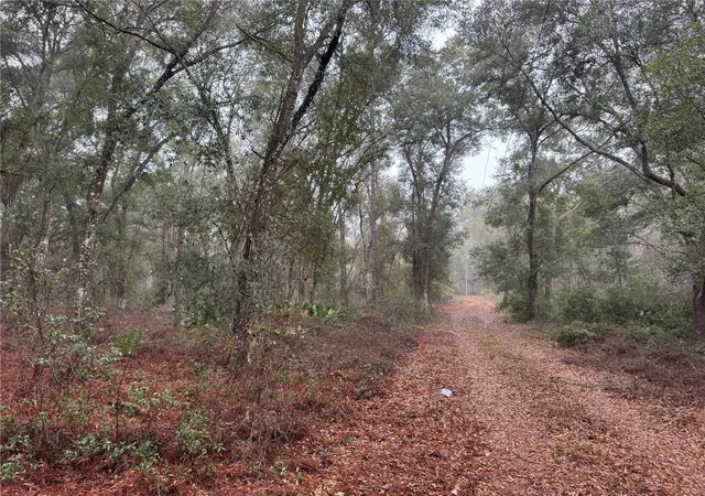 2nd image of 2795 Se 21st Ave, Sumterville, FL 33585 | MLS# TB8488209