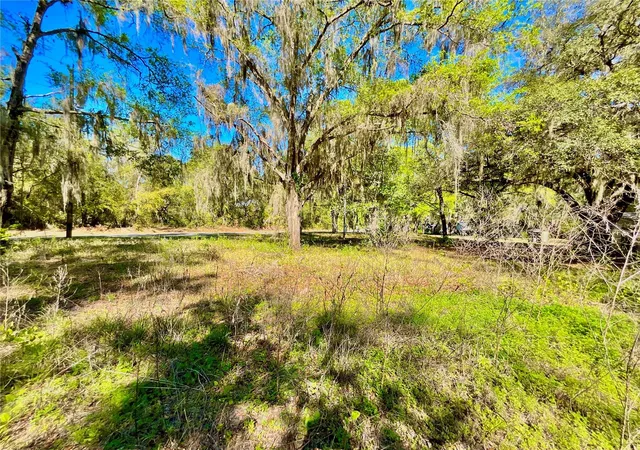 4th image of Lot 2 Se 16Th St, Melrose, FL 32666 | MLS# GC538635