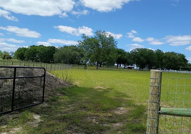 4th image of Lot #7 Se 66Th Pl, Morriston, FL 32668 | MLS# OM721149