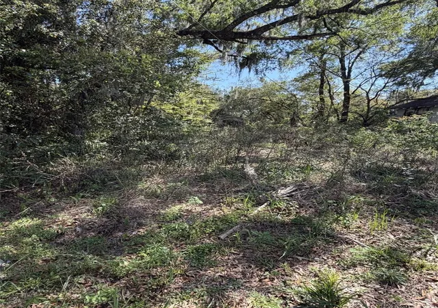 1st image of 110 E Mercers Fernery Rd, De Land, FL 32724 | MLS# V4948006