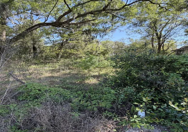 2nd image of 110 E Mercers Fernery Rd, De Land, FL 32724 | MLS# V4948006