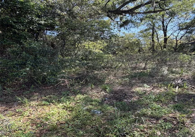 3rd image of 110 E Mercers Fernery Rd, De Land, FL 32724 | MLS# V4948006