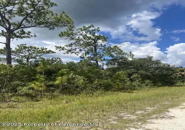 2nd image of 10194 Yellow Frog Ave, Weeki Wachee, FL 34614 | MLS# TB8488595