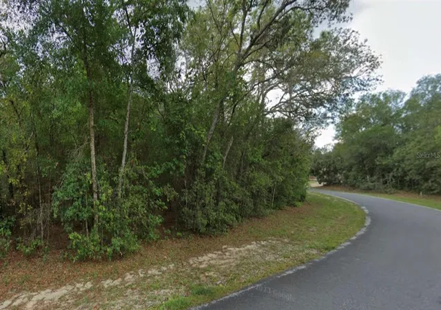Photo 3 of Land for sale at 4270 N Indianriver Dr, Hernando, FL 34442 | MLS# O6392344 | Listing updated on 2026-04-20