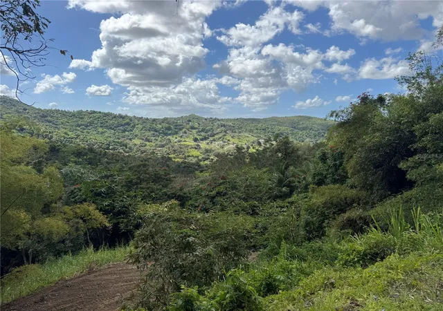 Homes for sale in Carolina, PR | Carr 857 Km 63, Carolina, PR 00987 | MLS# PR9120077