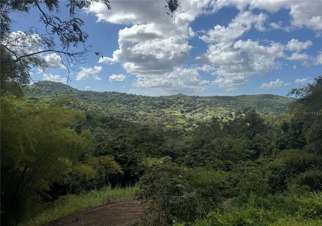 Homes for sale in Carolina, PR | Carr 857 Km 63, Carolina, PR 00987 | MLS# PR9120077