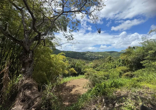 Homes for sale in Carolina, PR | Carr 857 Km 63, Carolina, PR 00987 | MLS# PR9120077
