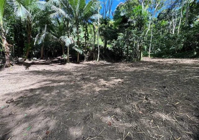 Homes for sale in Carolina, PR | Carr 857 Km 63, Carolina, PR 00987 | MLS# PR9120077