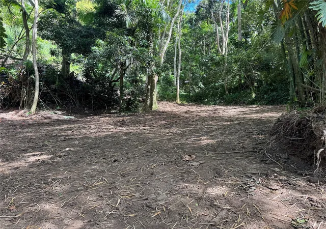 Homes for sale in Carolina, PR | Carr 857 Km 63, Carolina, PR 00987 | MLS# PR9120077