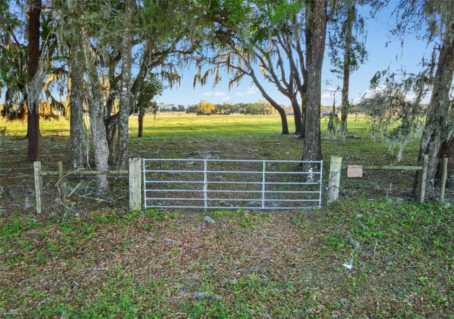 3rd image of 0 W Cr 476, Bushnell, FL 33513 | MLS# TB8488828
